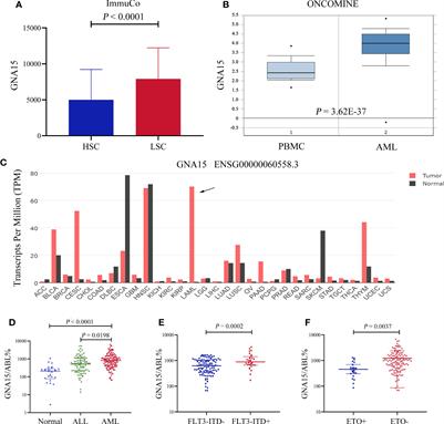 Downregulation of GNA15 Inhibits Cell Proliferation via P38 MAPK Pathway and Correlates with Prognosis of Adult Acute Myeloid Leukemia With Normal Karyotype